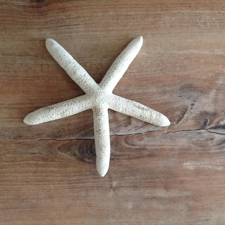 Appartement White Sands *