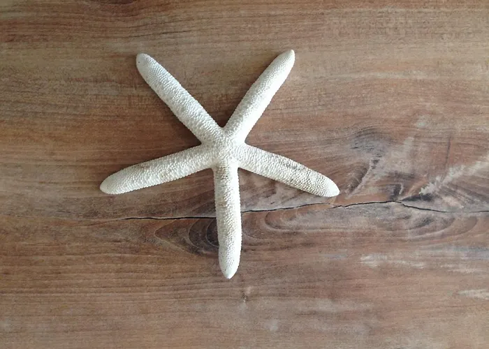 Appartement White Sands *